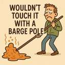 wouldn't touch it with a barge pole