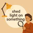 shed/throw light on something