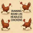 running round like headless chickens