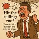 hit the ceiling/roof