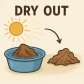 dry out