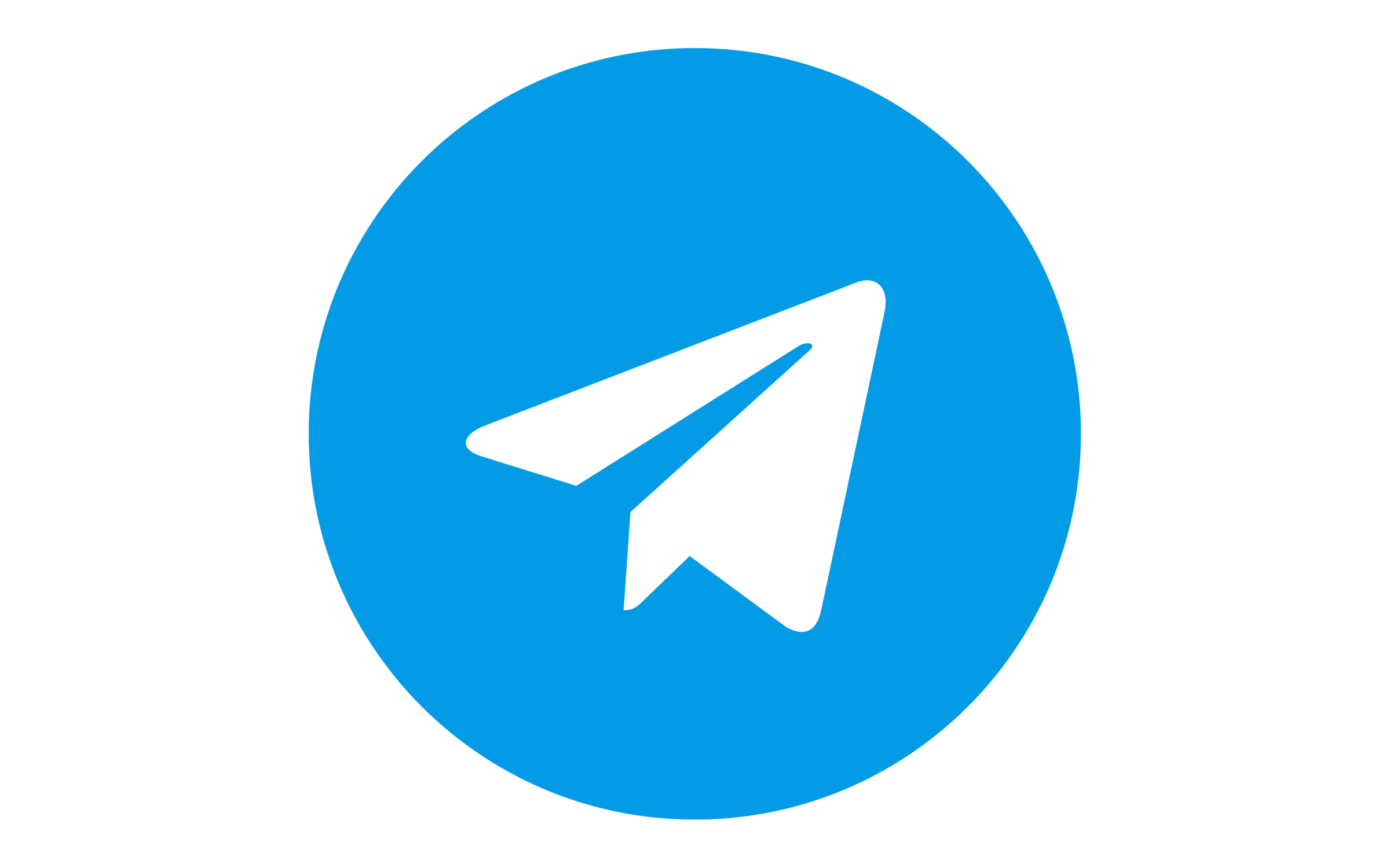 Telegram Logo